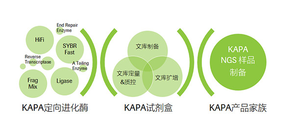 图片10.jpg