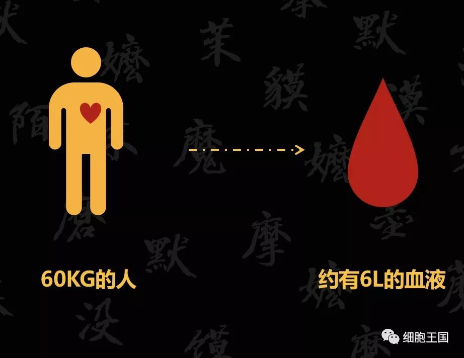一滴血里的大秘密，你不能不知道哦！