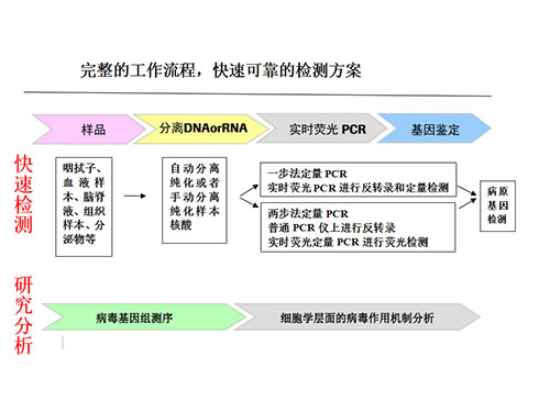分子生物学PCR室建设参考方案