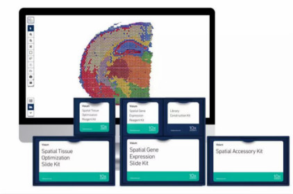 10x Genomics Visium空间基因表达解决方案